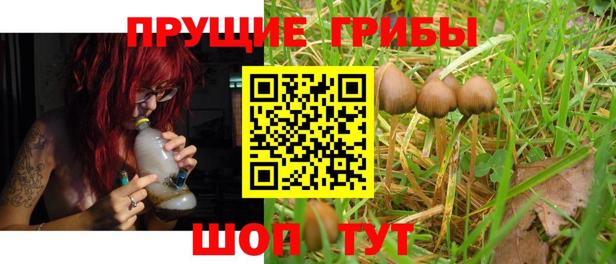 Псилоцибиновые грибы мицелий  Псилоцибиновые грибы мицелий  Вход с VPN  Фролово 
